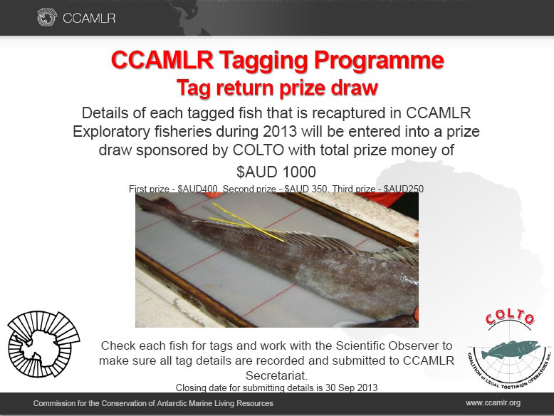 CCAMLR and COLTO toothfish tagging prize draw