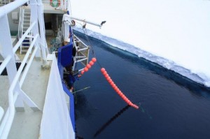 Longline fishing for Antarctic toothfish in the Ross Sea