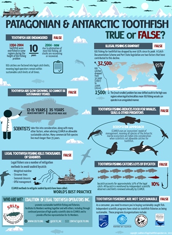 Toothfish infographic